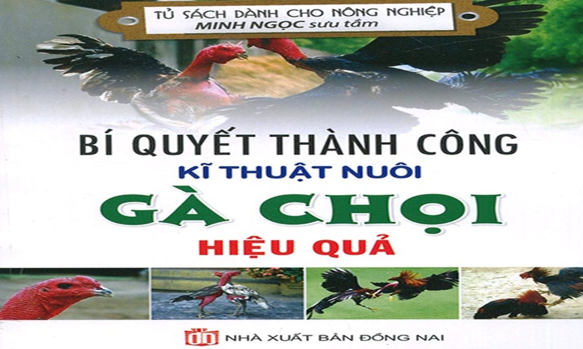 Bí Quyết Thành Công và Kĩ Thuật Nuôi Gà Chọi Hiệu Quả