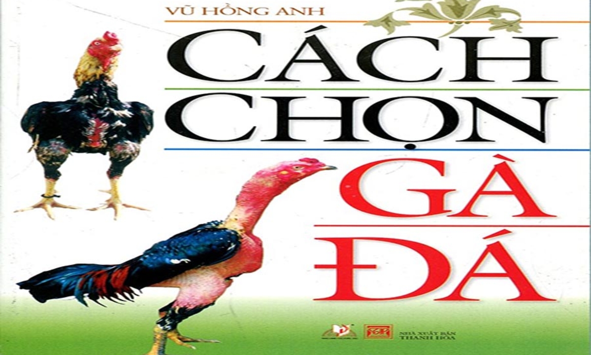 Cách Chọn Gà Đá - Vũ Hồng Anh