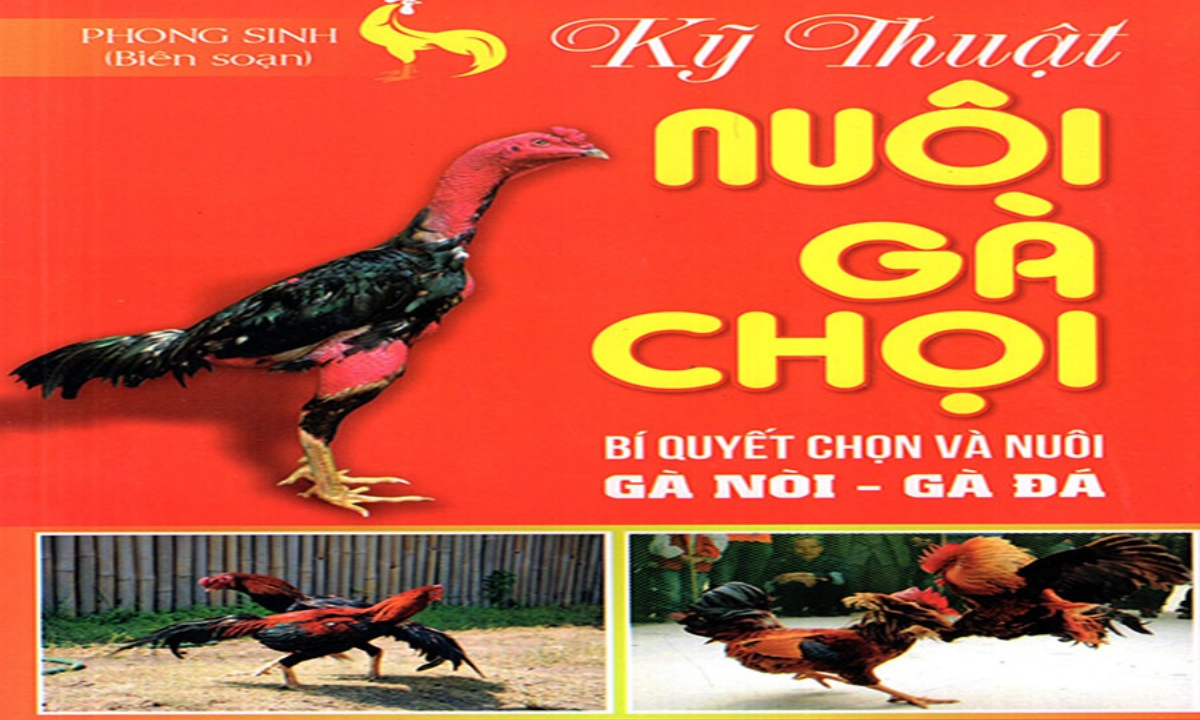 Sách Kỹ Thuật Nuôi Gà Chọi_ Bí Quyết Chọn Và Nuôi Gà Nòi – Gà Đá