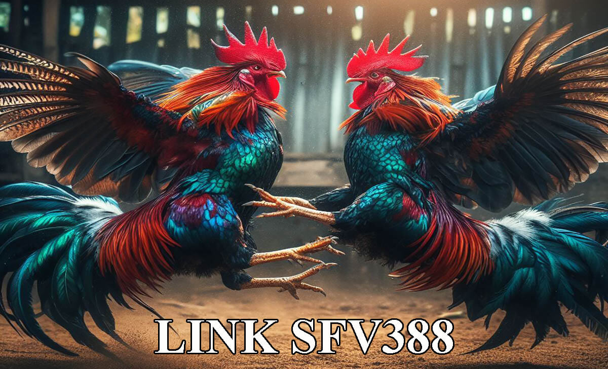 Link login SFV388.com không chặn mới nhất