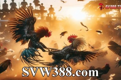 SVW388.com là link thay thế SV388 bị chặn mới nhất