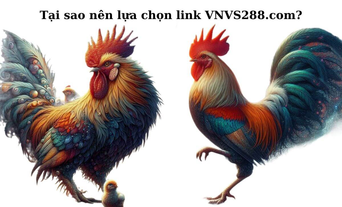 Tại sao nên lựa chọn link Vnvs288.com?