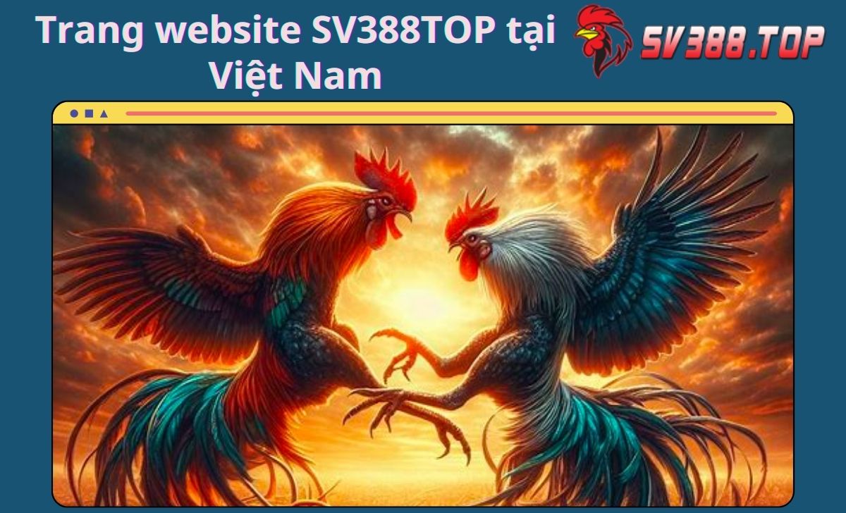 Trang website SV388TOP